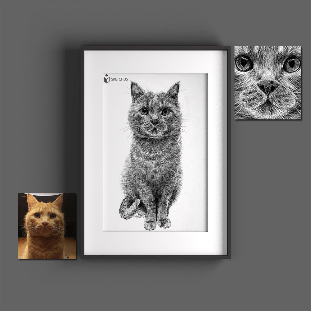 Katze Portrait malen lassen Katzenzeichnung schwarz weiß Katzengesicht Gemälde Bleistift gemalte katzenbilder Skizze Sketchus