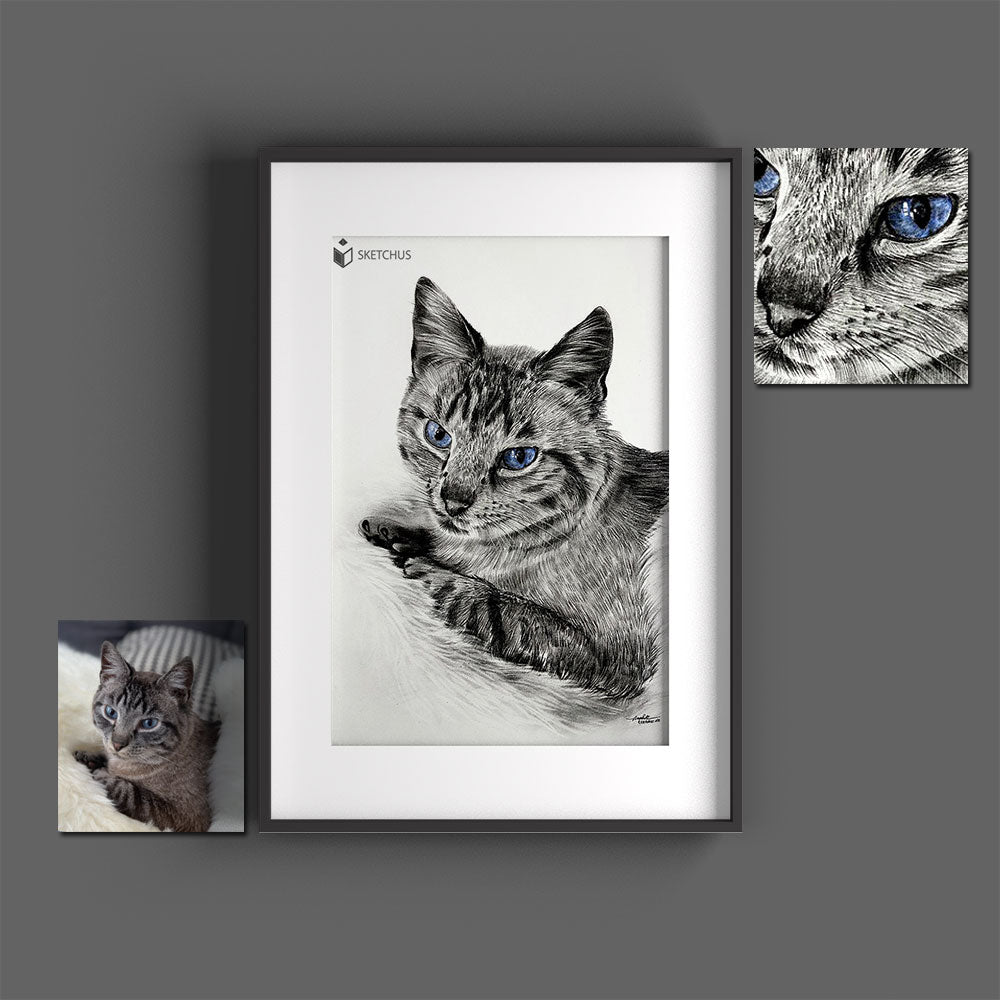 Katze Portrait zeichnen einfach Katzenzeichnung schwarz weiß Katzengesicht Gemälde Bleistift gemalte katzenbilder Skizze Sketchus