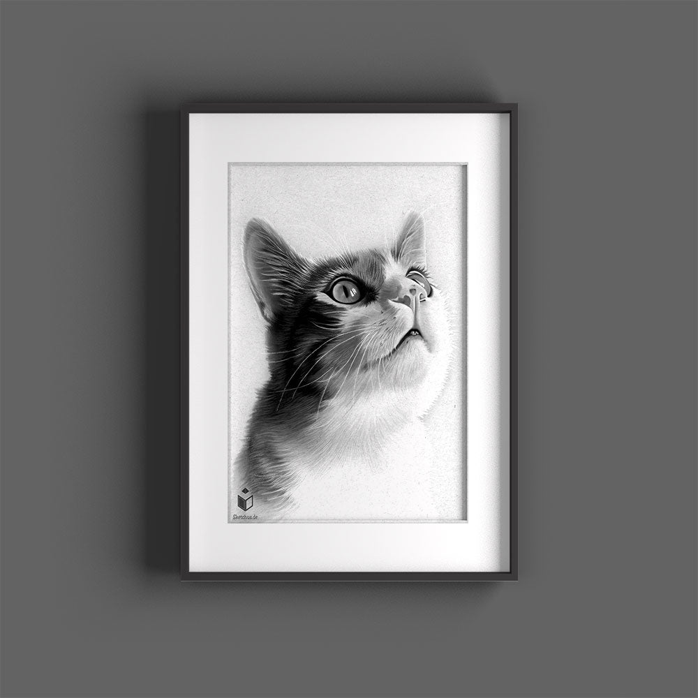 Katze Portrait malen lassen Katzenzeichnung schwarz weiß Katzengesicht Gemälde Bleistift gemalte katzenbilder Schwarz Weiß Skizze Sketchus