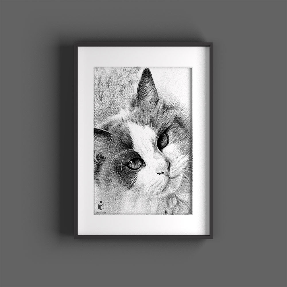 Katze malen Katzenzeichnung schwarz weiß Katzengesicht Gemälde Bleistift gemalte katzenbilder  Skizze Sketchus