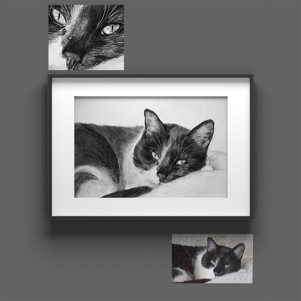 Katze Portrait malen lassen Katzenzeichnung schwarz weiß Katzengesicht Gemälde Bleistift gemalte Skizze Sketchus
