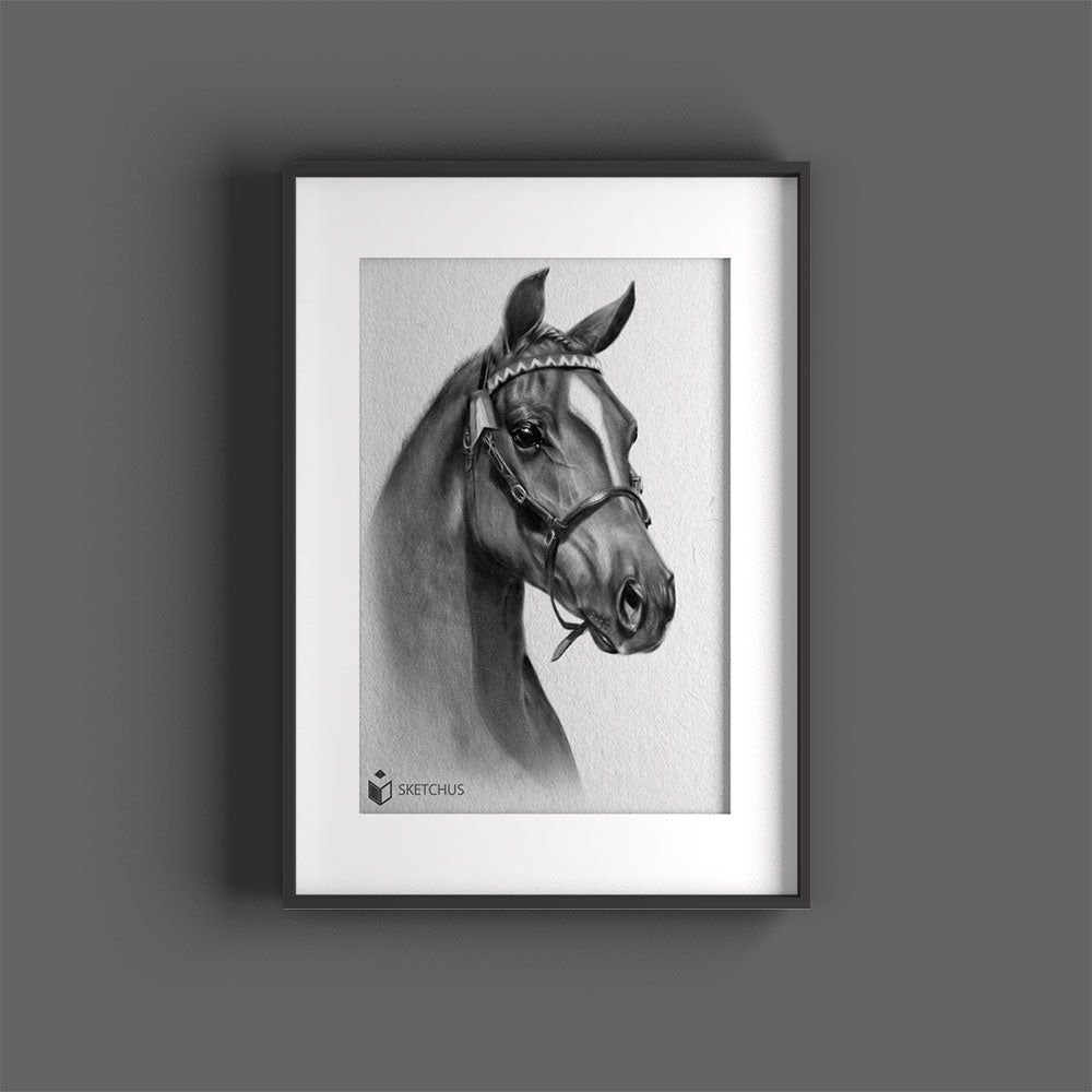 Pferdeportraits Pferd Zeichnungen