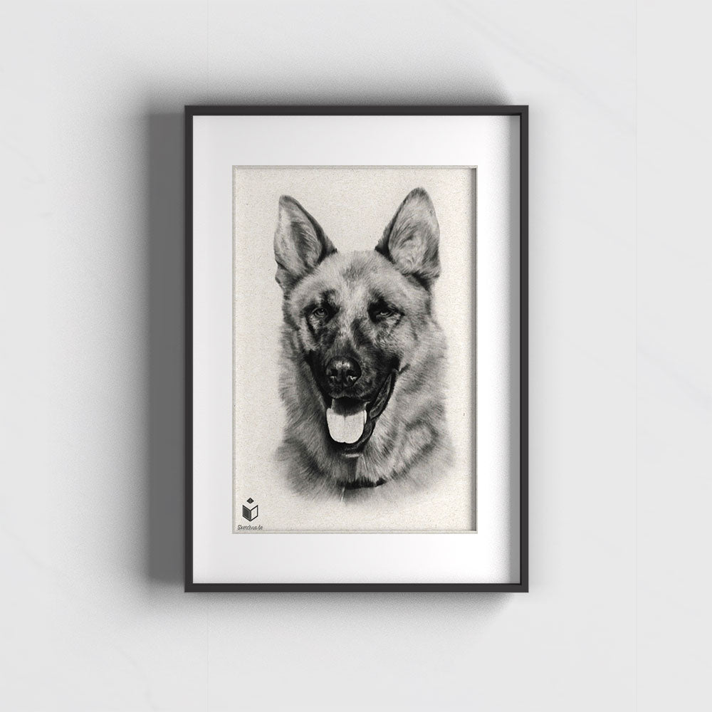 Tiere zeichnen lassen-Hundeportrait Hundezeichnung