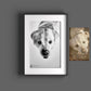 Kohlezeichnung Hund Sketchus Portrait